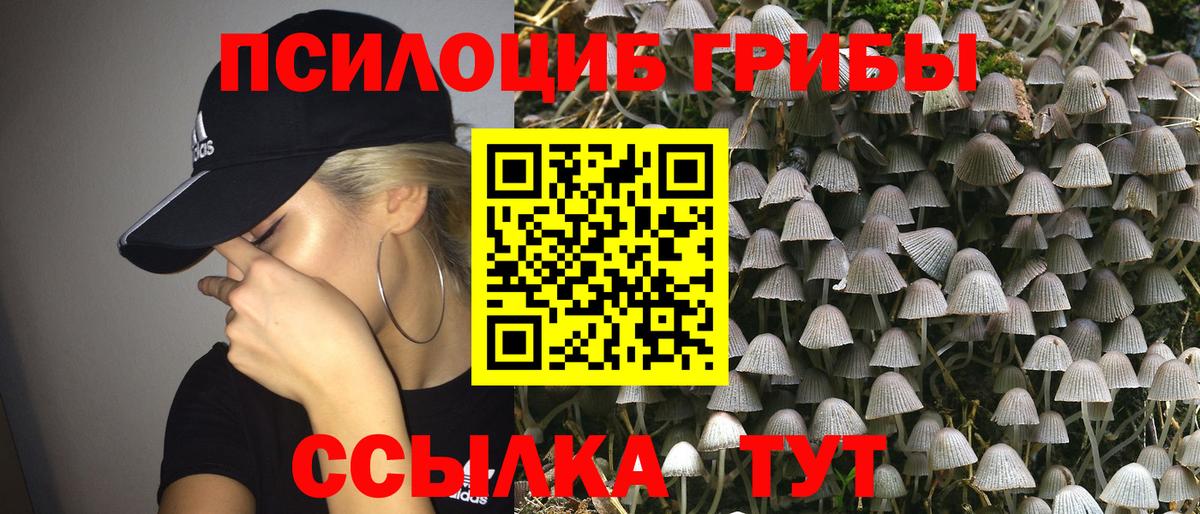 Нурлат  Псилоцибиновые грибы Psilocybine cubensis  Вход с VPN 